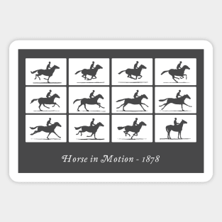 Horse in Motion (white) Magnet